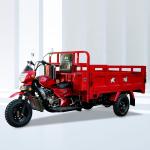 250CC Closed Box Three Wheel Cargo Motorcycle 1200kg Loading Capacity 5.0-12