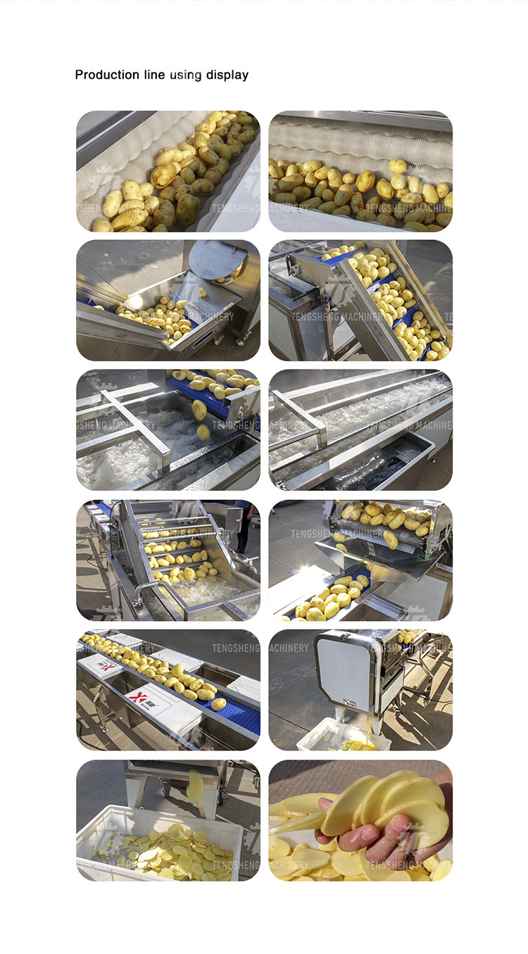 Vegetable Hair Roller Bubble Washing Selection Cutting Machine Production Line