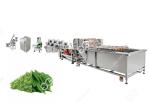 Industrial Moringa Leaf Powder Production Line