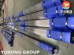 ASTM A179/ASME SA179 Carbon Steel Seamless Boiler Tube