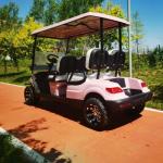4 Seater Electric Golf Cart Pink Outdoor Theme Park New Design Off-road