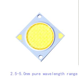 Wholesale White Color 30V 34V 50 Watt COB LED 1500mA High Cri COB LED from china suppliers