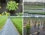 PP ground cover,weed barrier Fabrics, weed mat in strawberry garden, Agricultura