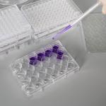 Multi-Well Cell Culture Plate Cell And Tissue Culture Plates