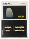 Plastic Polymer Dental Acrylic Resin Teeth A1 A3 2 Layers Dental Composite Resin