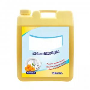 China Customized Large Plastic Jugs Liquid Detergent Empty Bottle With Handle And Screw Cap on sale