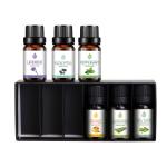 10ml 6pcs Aromatherapy Essential Oil Set Healthy Care Custmoized