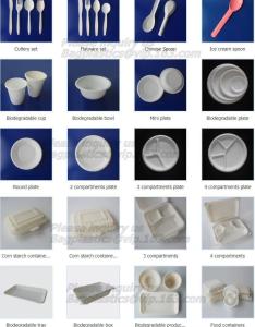 Wholesale spoon, folk, knife, tray, disposable plate, deli tray, biodegradable breakfast tray, Biodegradable Disposable Food Tray from china suppliers