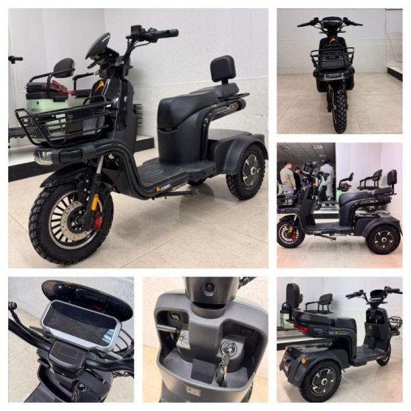 Patented Leaning Electric Trike, High-Performance Motor, Customizable Battery Options