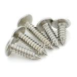 M4*14mm Phillips Truss Head Self Tapping Sheet Metal Screw 304 Stainless