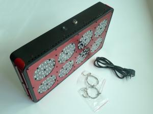Wholesale 300w LED Grow Lamp,ce rohs,plant indoor grow lights for hydroponics plants from china suppliers