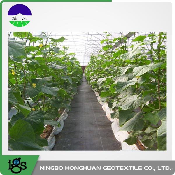 390gsm Black Woven Geotextile Fabric for Reinforcement and Separation