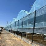 Revolutionize Agriculture with PVC Pipe Drip Irrigation Greenhouse and Fast