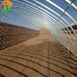 Hydroponic System Included High Strength Solar Greenhouse for Vegetable Fruits