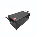 12V 200Ah LiFePO4 Battery for Energy Storage Electric Vehicle