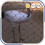 AISI316 1.2 mm 30 mm Eye Size X-TEND Woven Aviary Rope Mesh Netting