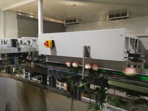 Wholesale Flower Detection Vision Inspection Equipment Fully Automatic from china suppliers