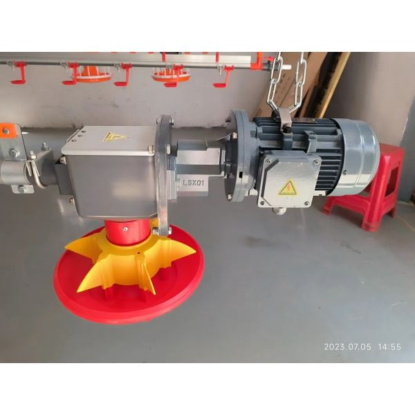 Hot-dip Galvanized Automatic Broiler Farming Equipment with Feeding and Ventilation Systems