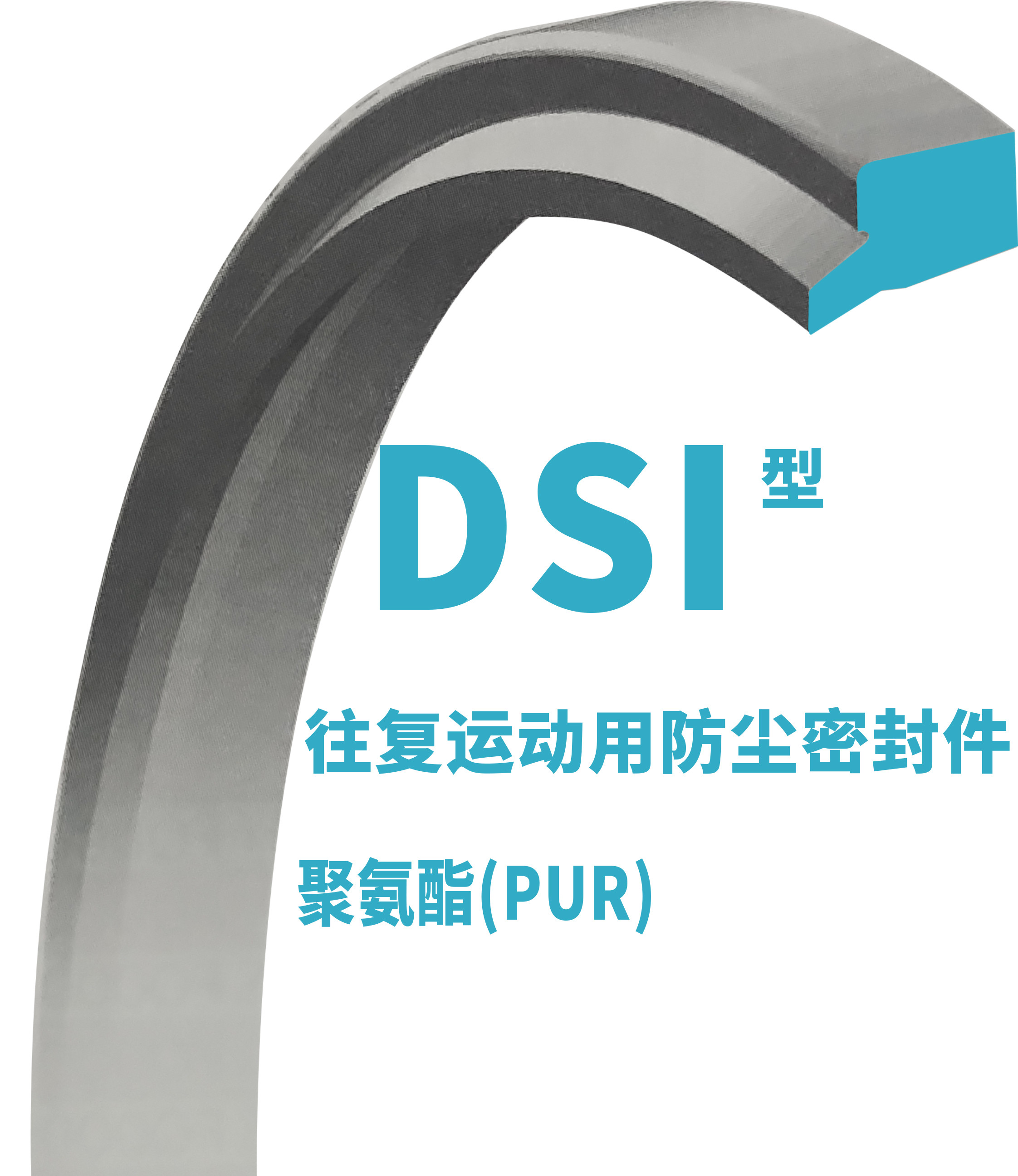 DSI Cylinder Dust Seal