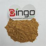 Radix Notoginseng P.E./Pseudo-ginseng/san qi Herbal Dietary Supplement