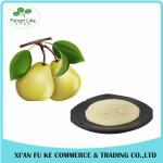 Natural Sydney / Snow Pear Fruit Juice Powder