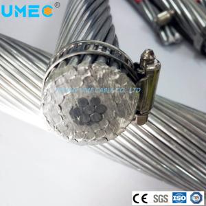 Wholesale Support OEM Bare ACSR Conductor for Overhead Transmission Line Cable 1033.5mcm 1351.5mcm 1590mcm from china suppliers