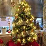 LED Star String Lights Fairy Christmas Lights Battery Operated for Indoor &