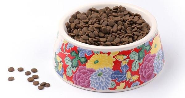 Lovely Personalized portable pet dog food water bowl ceramic plastic, Drink