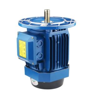 Wholesale 4 pole 3hp single phase 2hp induction motor from china suppliers