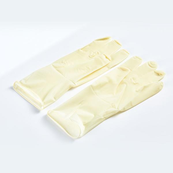 Sterile 100% Disposable Surgical Gloves Natural Latex Medical Surgical
