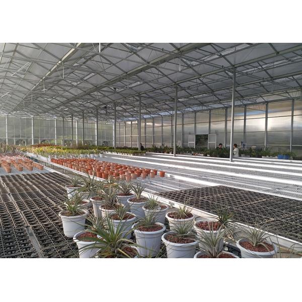 Polycarbonate Greenhouse Sheet with Customized Length and 9.6 Meter Tunnel Width