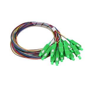 Wholesale 12 Cores Fiber Pigtail Sc from china suppliers