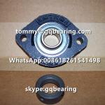 INA FLCTE17 FLCTE17-XL Cast Iron Material Two-bolt Flange Pillow Block Ball