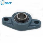 High Precision Pillow Block Bearings UCFL206 Cast Iron Housing UCFL Series