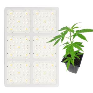 Wholesale High PAR Output Full Spectrum Cree Led Grow Lights / Led Grow Panel Light 600W from china suppliers