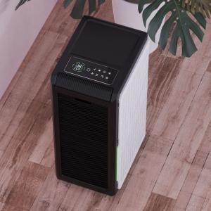 China Large Room True Hepa Filter Air Purifier And Humidifier Combo For Mold on sale