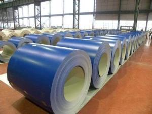 Wholesale Cold Rolled Prepainted Steel Coil 304L Stainless Steel Sheet In Coil from china suppliers