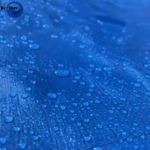 Wholesale 10x10 Tarp PE Heavy Duty Poly Tarps 20 Mil from china suppliers