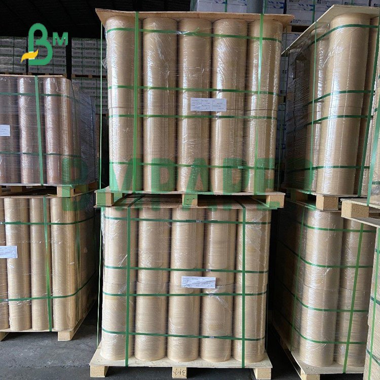  36'' 48'' 60'' Wide Strong Surface Plotter Paper  for Fruit Packaging 
