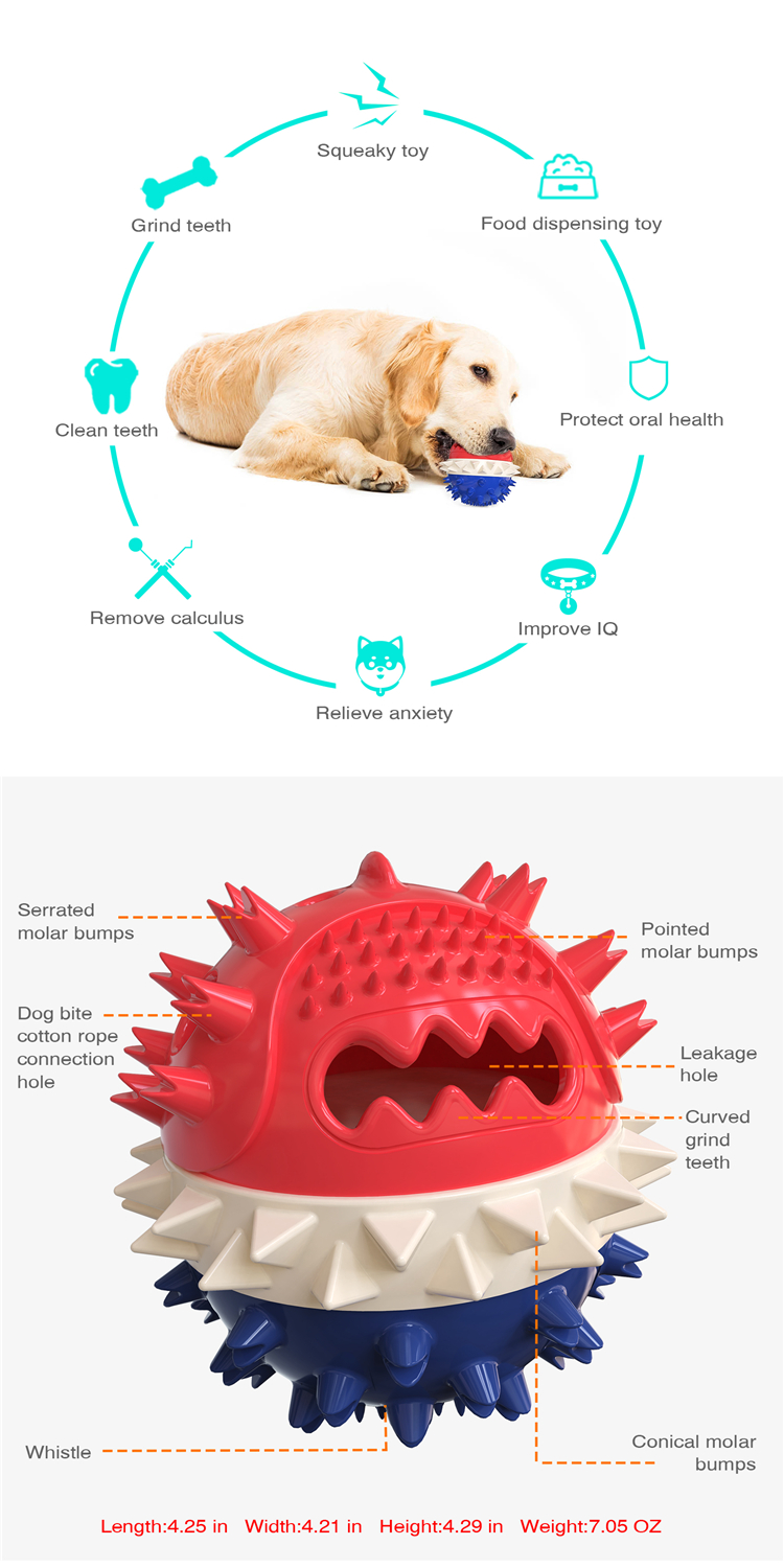 Personalized Flexible Dog Molar Bite Toy For Cleaning Pet Teeth