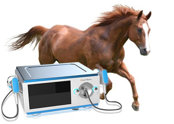 Focused Transmitter Horse Shockwave Therapy Machine For Horse Back Pain