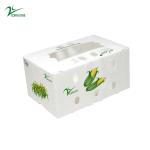 1.5mm-30mm PP Corrugated Plastic Packaging Boxes White Green Blue