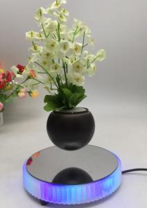Wholesale led light magnetic floating levitate bottom air bonsai planter trees from china suppliers