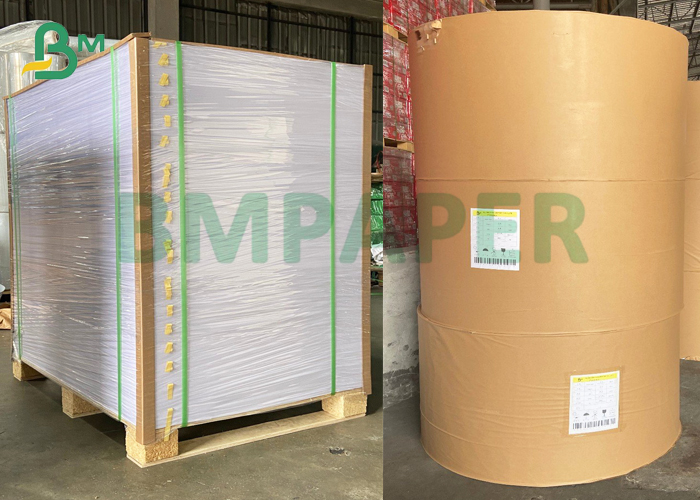 C1S SBS paperboard