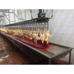 300BPH - 10000BPH Auto Poultry Slaughtering Equipment Stainless Steel 304 For
