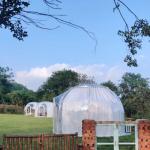 Outdoor Glamping Luxury PC Geodesic Dome Homes Prefabricated House Dome Tent