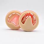 Dental Lab Materials Pmma Block Monolayer PMMA Disc Vita-16 Colors