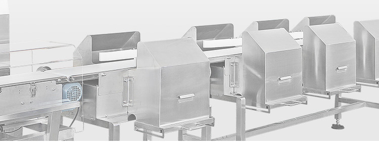 Industry Automatic Weight Sorting Machine Conveyor Belt Chicken Shrimp Fruits Vegetables Weight Sorter