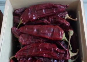 Wholesale 10 - 15cm Dried Guajillo Chili 50BLS For Mouthwatering Stews from china suppliers