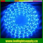 blue outdoor decoration light 2 wire 12/24V led rope flex light